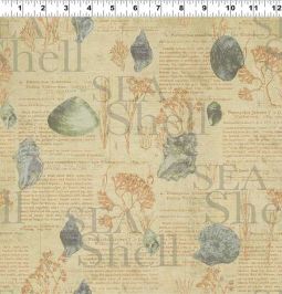 Sea Cottage Shell Book Page