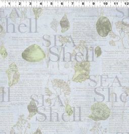 Sea Cottage Shell Book Blue