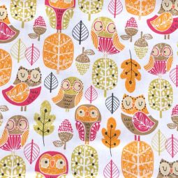 Acorn Forest Owls
